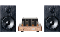 Bennett & Ross TA-70 Buizenlook Stereoset Champagne
