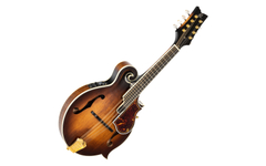 Ortega RMFE100AVO F-Style Mandoline Antique Violin Oil - Retoure (Zustand: sehr gut)