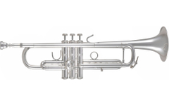 Bach 170S-43GY ML Bb Trompeta Plateada