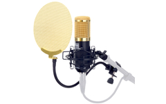 Pronomic CM-100BG Microphone à Condensateur Studio Noir/Or Set avec Protection Anti-Pop Or