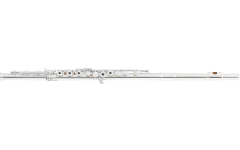 Flauta Traversa Di Zhao 801 RCE 10K-Rise