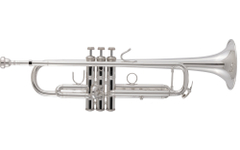 Bach 170S-43GYR ML Bb Trompeta Plateada