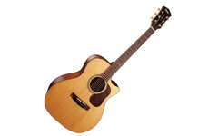 Cort Gold A6 NG