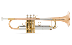 Lechgold TR-14G Tromba in Sib