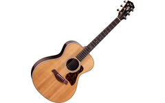 Taylor 712e Gold Label Westerngitaar