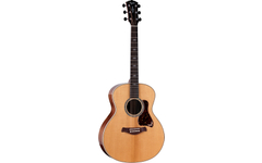 Taylor Gold Label 814e