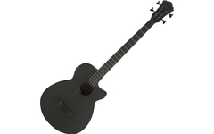 Ibanez AEGB420-BOT Basse Acoustique Black Out