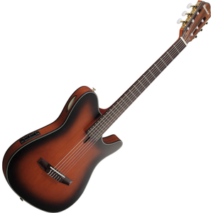 Ibanez FRH10N-BSF Guitare Brown Sunburst Flat