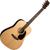 Martin Guitars D-16E-01 thumbnail 1