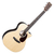 Martin Guitar GPC-13E Ziricote thumbnail 1