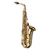 Yanagisawa A-WO1 Saxofón Alto en Eb thumbnail 1