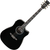Ibanez AW391RCE-BKH Black/Natural thumbnail 1
