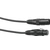 Eurolite DMX Kabel XLR 5pol 5m thumbnail 1