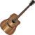 Ibanez V40WSCE-OPB Open Pore Brown thumbnail 1