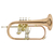 Bach FH501 Flicorno thumbnail 1