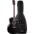 Cort PURE-GA Black Satin Gigbag Set thumbnail 1