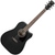 Ibanez PF16MWCE-WK Weathered Black thumbnail 1