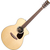Martin SC-10E thumbnail 1