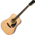 Epiphone Songmaker DR-100 Natural thumbnail 1
