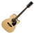 Ibanez PF1512ECE NT thumbnail 1