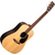 Martin Guitar D-X2E Brazilian  - Retoure (Zustand: sehr gut) thumbnail 1