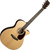 Martin Guitar GPC-16E-01 thumbnail 1