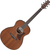 Ibanez AAM54-OPN Open Pore Natural thumbnail 1