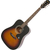 Epiphone Songmaker DR-100 Vintage Sunburst  - Retoure (Zustand: gut) thumbnail 1