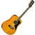 Eko Guitars Ranger XII VR EQ Natural thumbnail 1