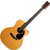 Martin Guitar GPC-16E Vintage Tint thumbnail 1