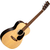 Martin Guitars 00-X2E Cocobolo thumbnail 1