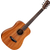 Taylor BT2 Baby Mahogany thumbnail 1