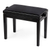 Jahn Beethoven-Panchetta Nero Lucido thumbnail 1