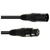 Eurolite DMX Cable XLR 3-Pin 3m Black thumbnail 1