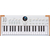 Arturia AstroLab 37  - 1A Showroom Modell (Zustand: wie neu, in OVP) thumbnail 1