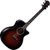 Taylor Builder's Edition 324ce Next Generation thumbnail 1