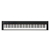 Korg D1 BK Digital Piano Schwarz  - Retoure (Zustand: sehr gut) thumbnail 1