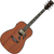 Ibanez PF34MHE-NT Natural High Gloss thumbnail 1