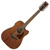 Ibanez AW5412CE-OPN Naturel Open Pore thumbnail 1