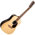 Martin Guitars D-X2E Brazilian 12-String thumbnail 1