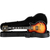 Gibson Les Paul Fireburst thumbnail 1