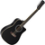 Rocktile WSD12-50C-BK Guitare Western Noire thumbnail 1