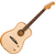 Fender Highway Series Dreadnought Natural thumbnail 1