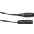 Eurolite DMX Cable XLR 5-Pin 3m thumbnail 1
