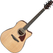 Ibanez AAD51CE-NT Western Acoustic Guitar Natural High Gloss