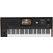 Korg Pa5X 61 Oriental