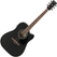 Ibanez AW84CE-WK Weathered Black