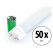 Showlite LED Tube T8W10K45F-600 600mm 50-Pack (Daylight White 4500K)
