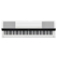 Yamaha P-S500WH Stage Piano Weiß
