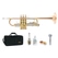 Lechgold CTR-18L C Trumpet Lacquered Deluxe Set